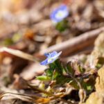 レス23番の画像2