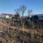 レス1番の画像18