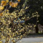 レス8番の画像1