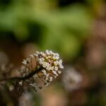 レス16番の画像4