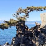 レス4番の画像5