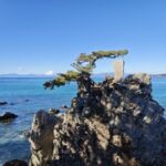 レス4番の画像3