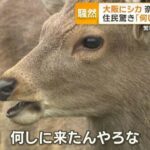 レス2番の画像1