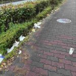 レス17番の画像1