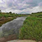 レス9番の画像4