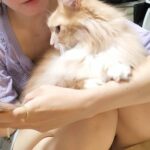 レス20番の画像6