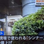 レス39番の画像2