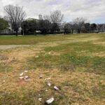 レス2番の画像3