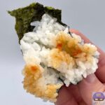 レス1番の画像2