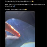 レス1番の画像1