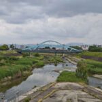 レス9番の画像1