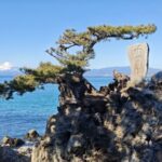 レス4番の画像4