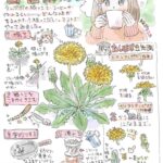 レス6番の画像1