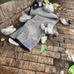 レス12番の画像1