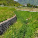 レス2番の画像6