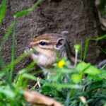 レス2番の画像1