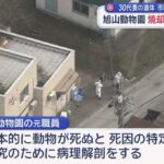 レス1番の画像3