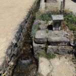 レス19番の画像1