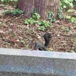 レス19番の画像1