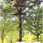 レス16番の画像3