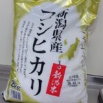 レス14番の画像1