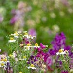 レス3番の画像1