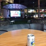 レス33番の画像1