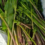 レス3番の画像1