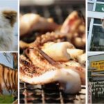 レス16番の画像1