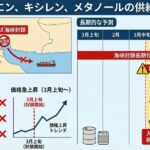 レス93番の画像1