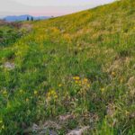 レス2番の画像1