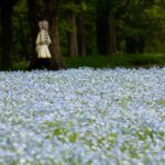 レス19番の画像1