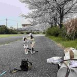 レス20番の画像3