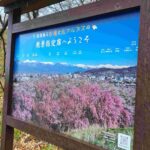 レス2番の画像1