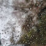 レス10番の画像1