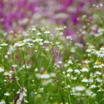 レス3番の画像2