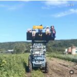 レス3番の画像1