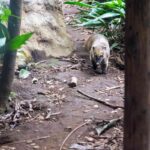 レス17番の画像1