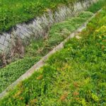 レス2番の画像3