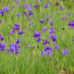 レス10番の画像1