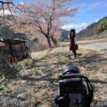 レス20番の画像1