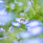 レス26番の画像1