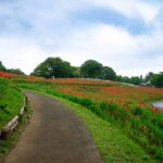 レス29番の画像1