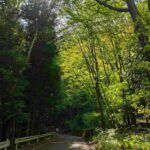 レス42番の画像1