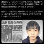 レス29番の画像1