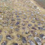 レス2番の画像9