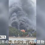 レス1番の画像1