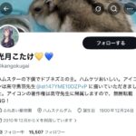 レス1番の画像1