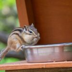 レス3番の画像1