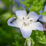 レス15番の画像1